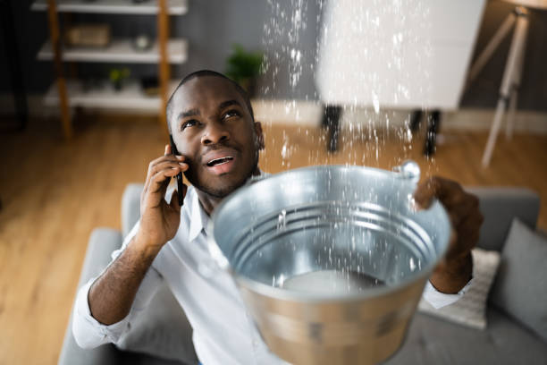 Best Basement water damage restoration  in Lisbon Falls, ME