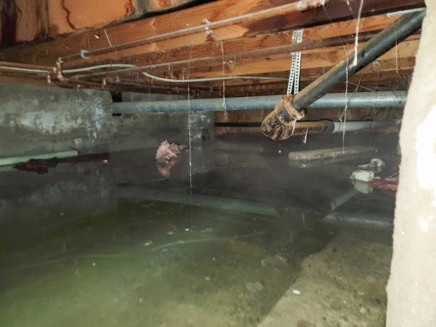 Best Residential water damage restoration  in Lisbon Falls, ME